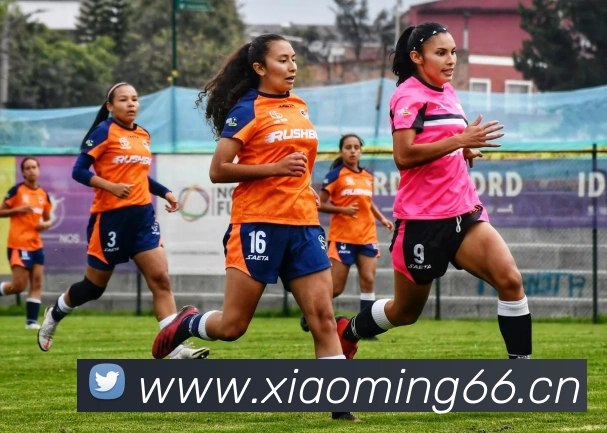 欧宝ob官方网站入口服务体系